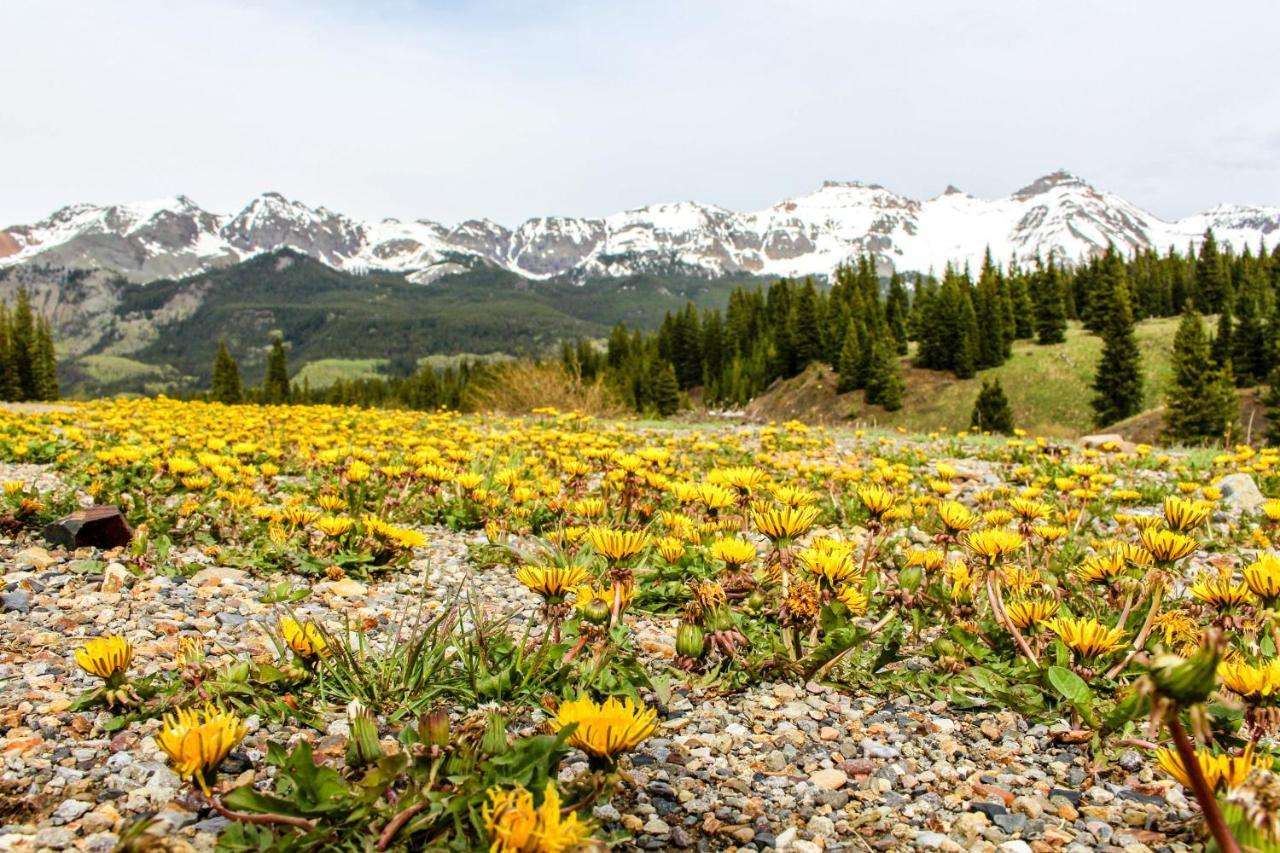 Mountain Lodge Telluride Quarto foto